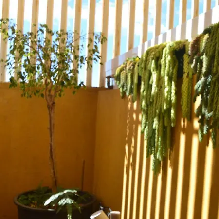 Homestay Fano's House - En Vivienda Particular *